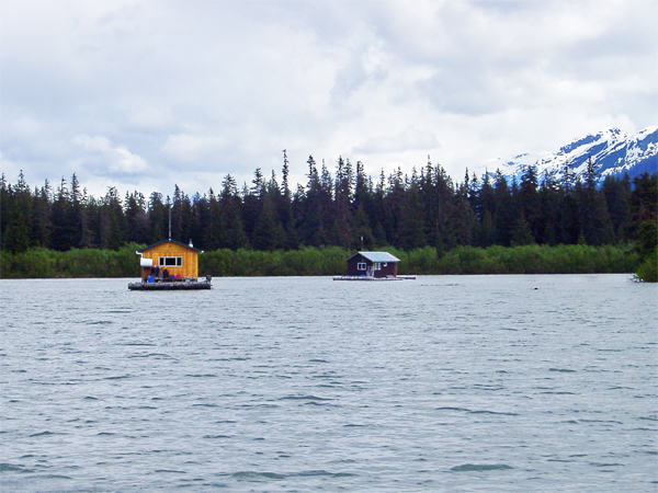 houseboats on The Stikine River